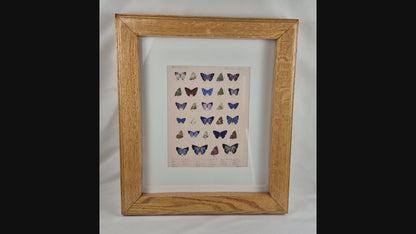 Heavy Duty Oak Picture Frames